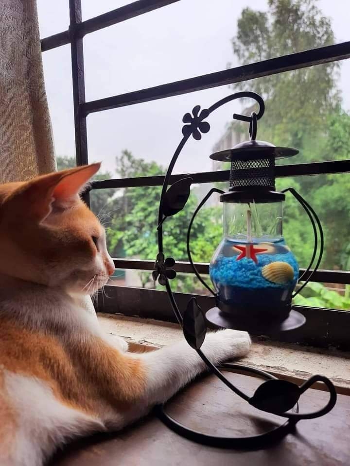 ?