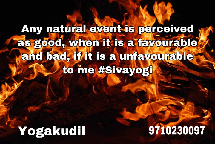 Try to perceive everything as it is