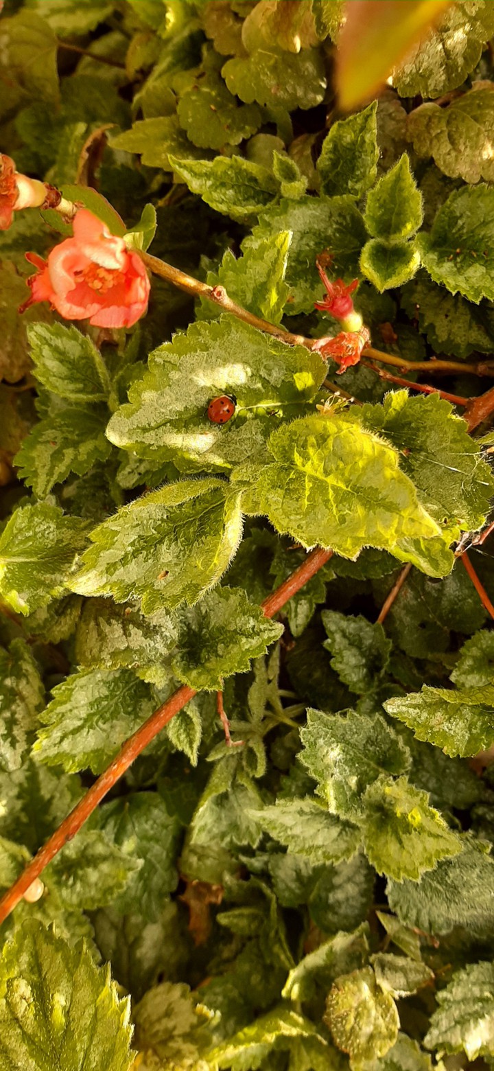 love how the photo turned out