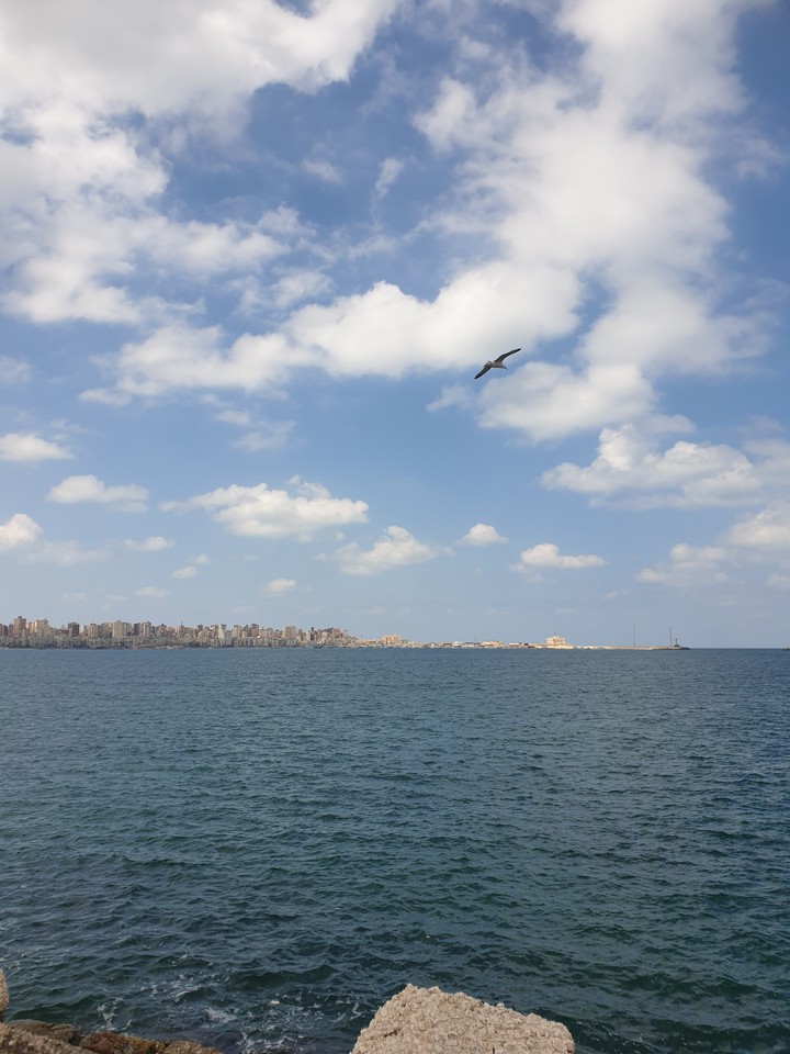 alexandria ,,