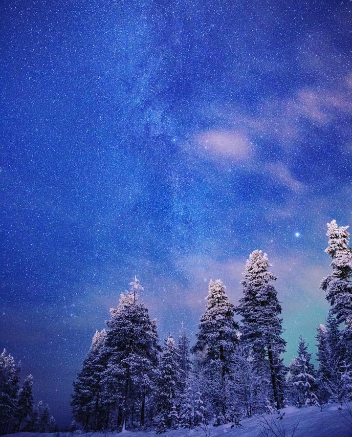 Artic Winter