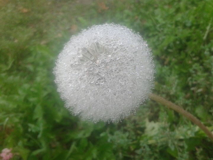 красота природы