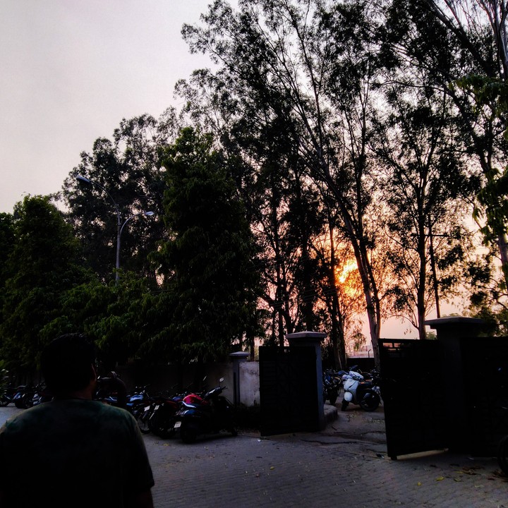 sunset