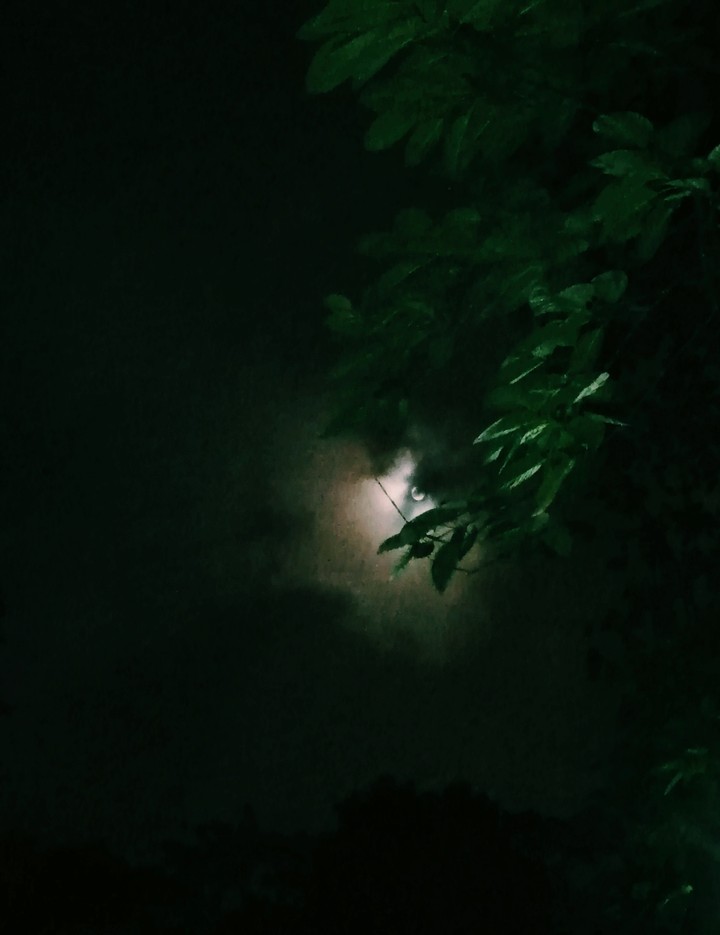Midnight Moon