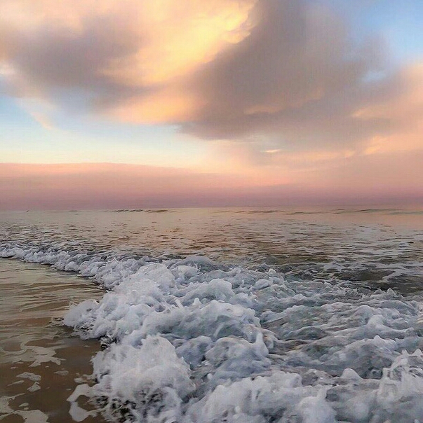 ~ beautiful wave ~