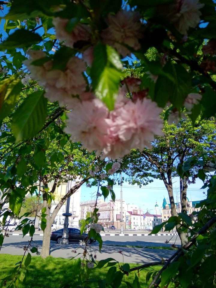 солнечный город Харьков