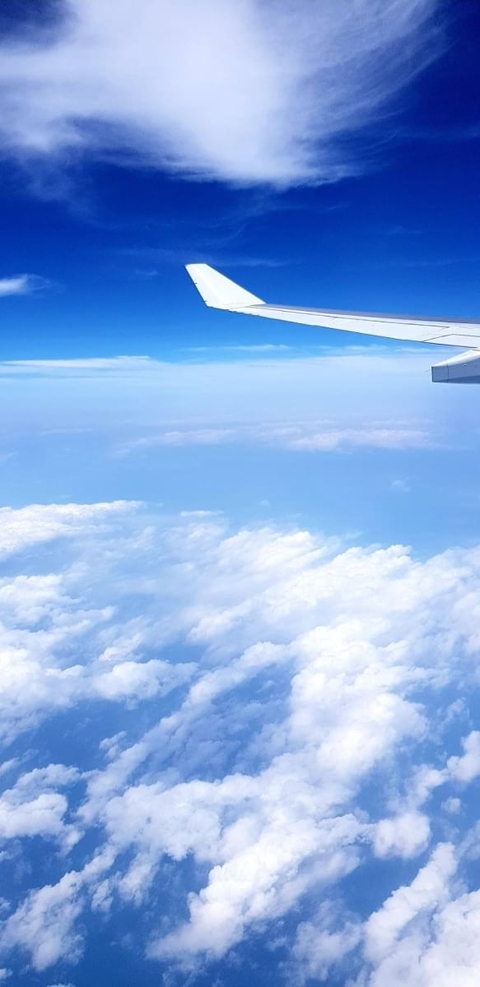 wing