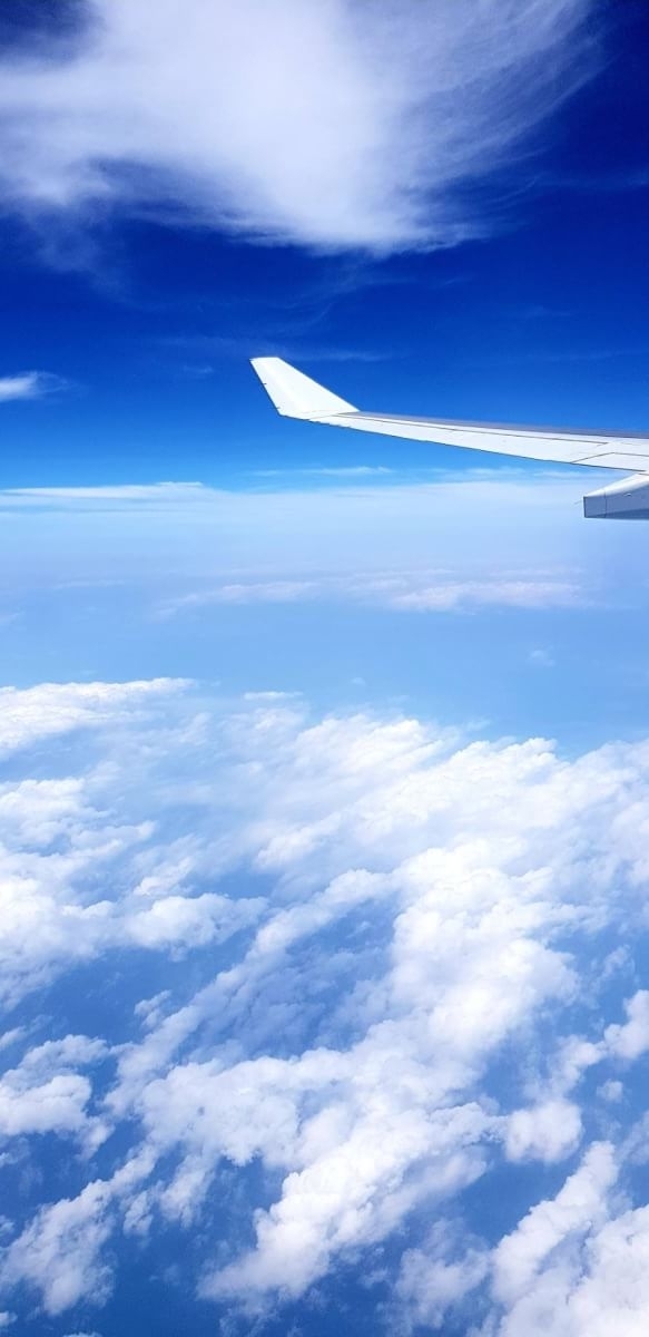 wing