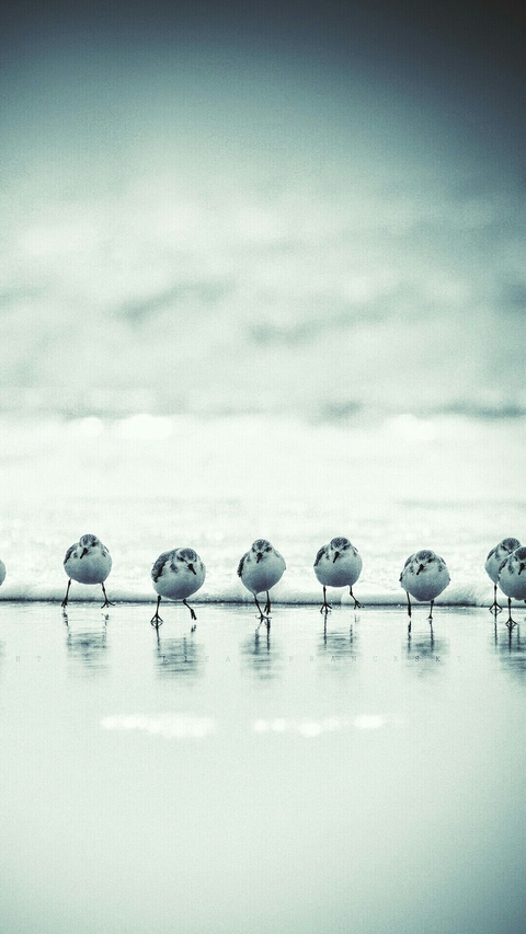 run!!