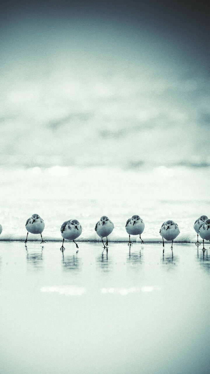 run!!