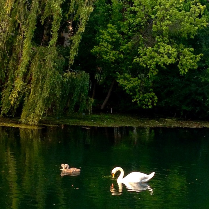 mamma e figli
