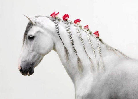 Hors
