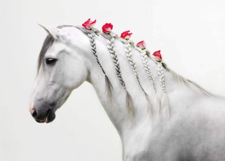 Hors