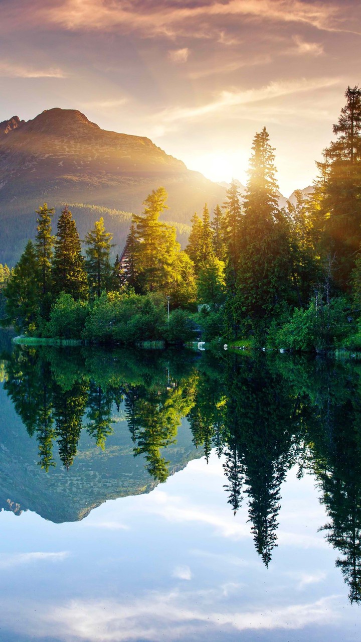 reflaction lake
