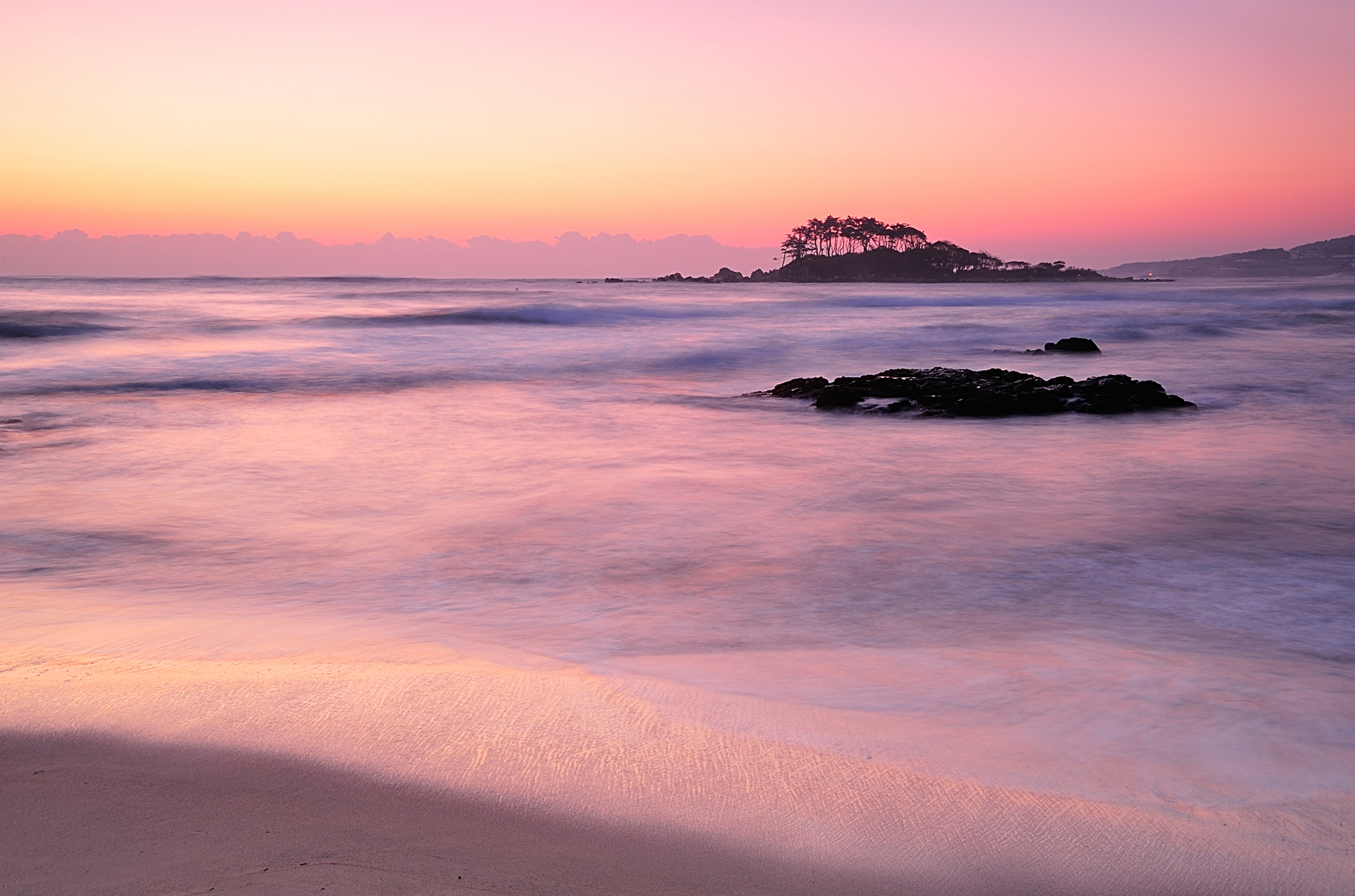 Fog Beach
