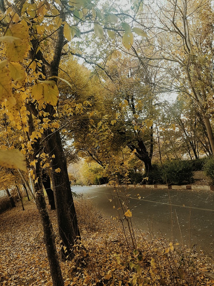 Autumn