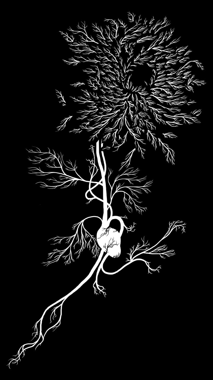 corazón de flor