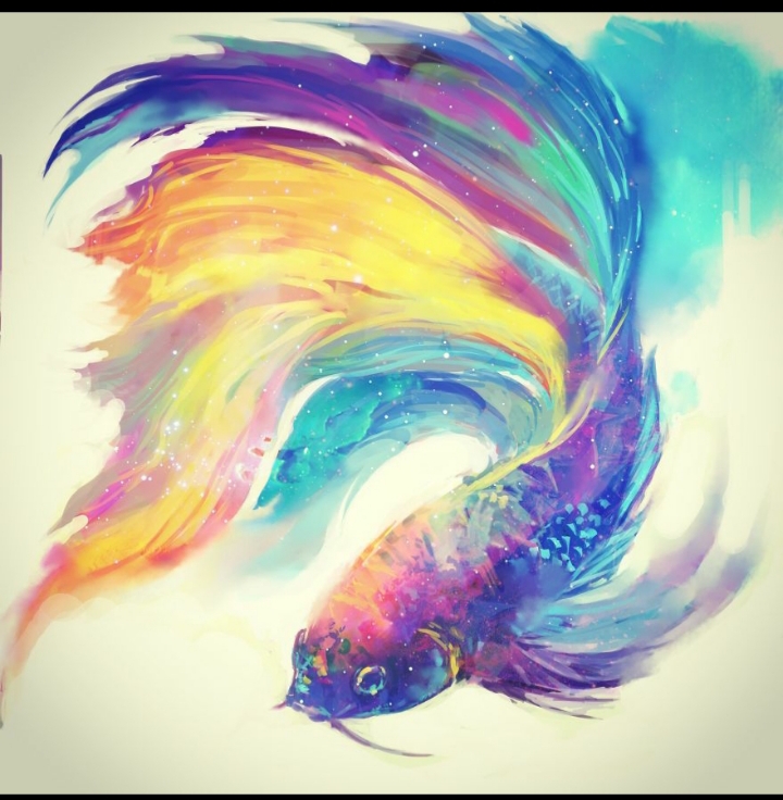 dream fish