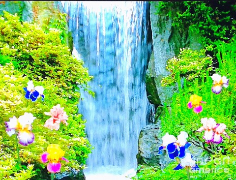 Catarata