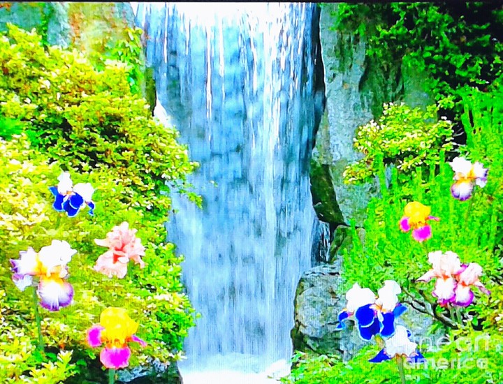 Catarata
