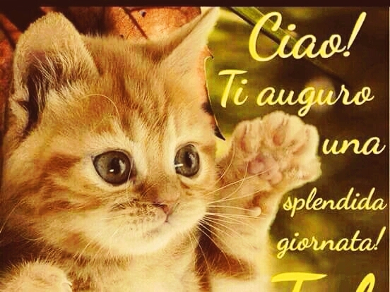 buongiorno