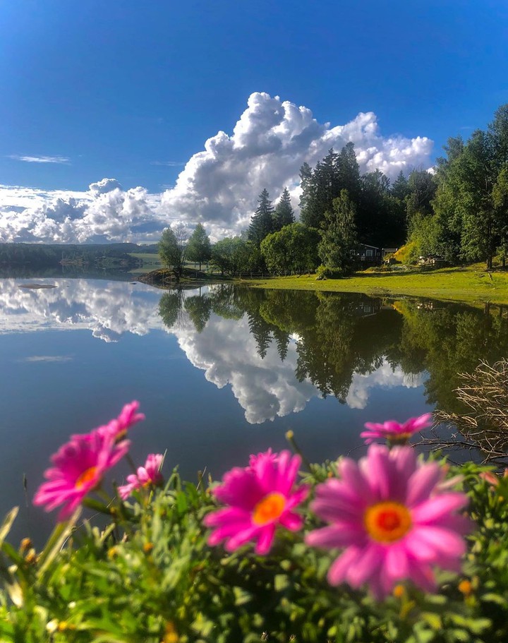 Idyll