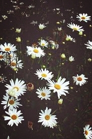 Spring~ 