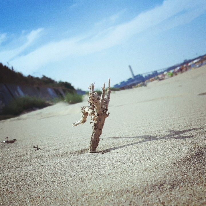 deserto pugliese