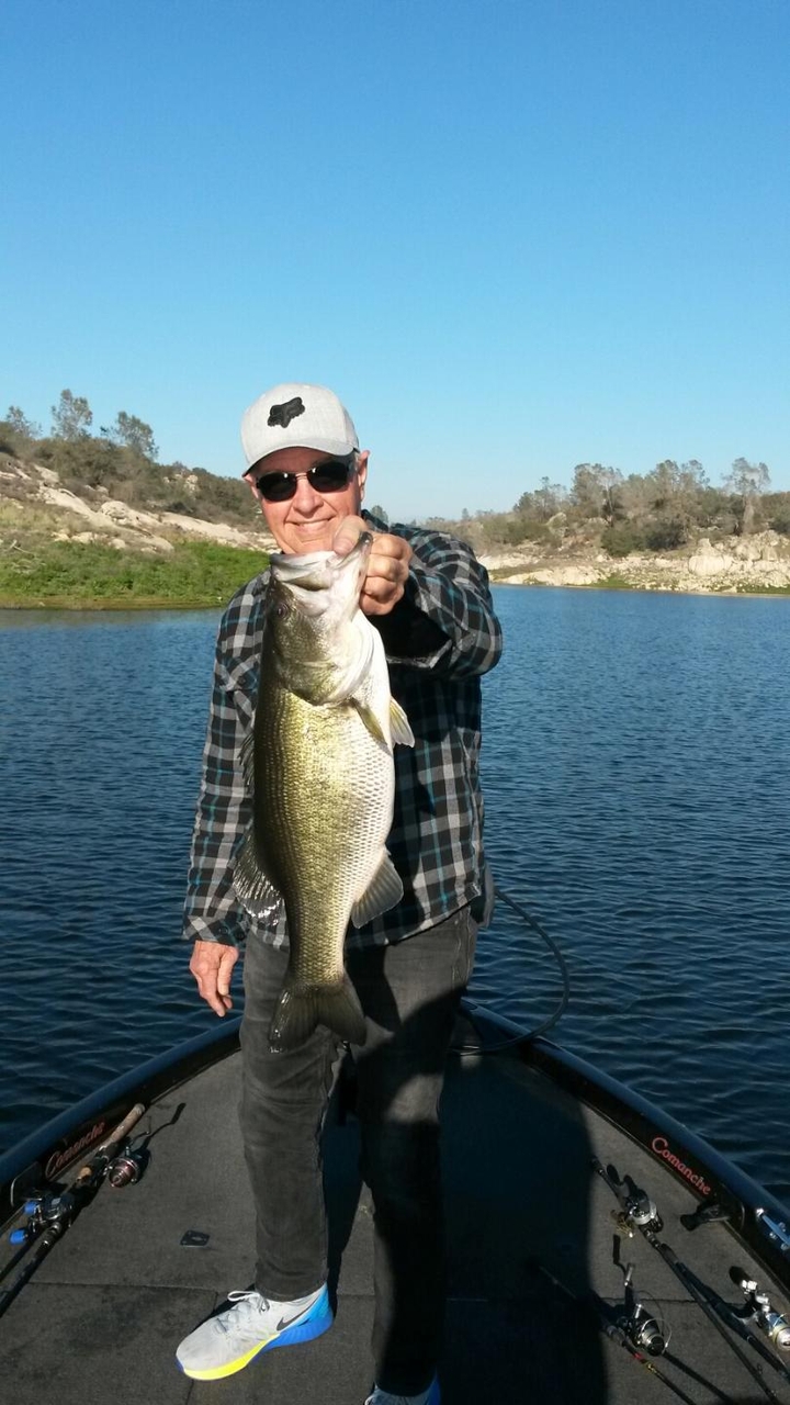 Brant fish
