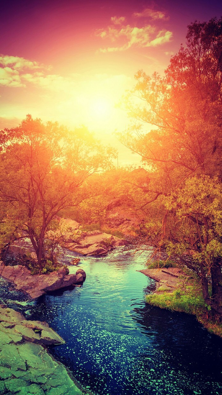 natuur