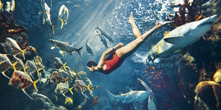 underwater