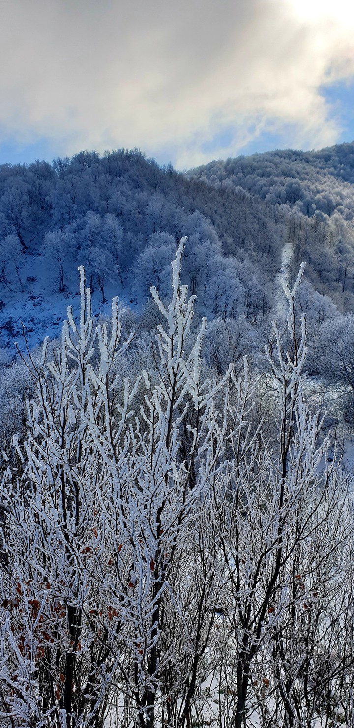 snow