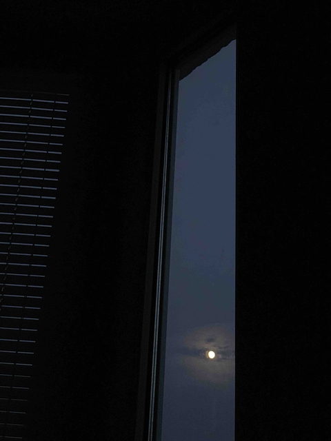 couldn‘t sleep