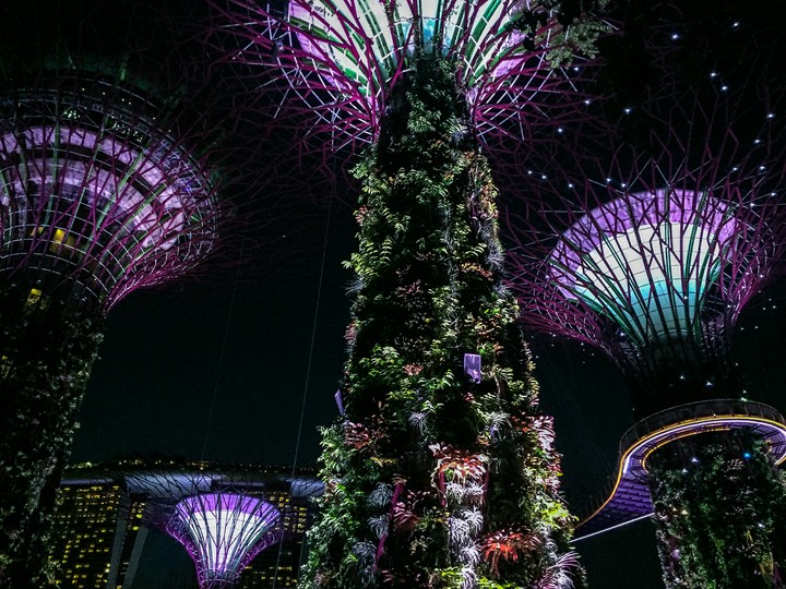 gardens by the bay