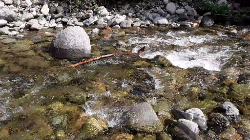 water stream in Manning Park BC