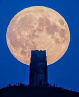 for my moon fan's