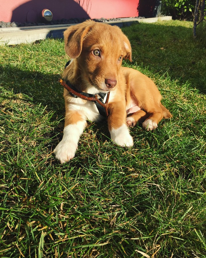 My little Baby ❤️