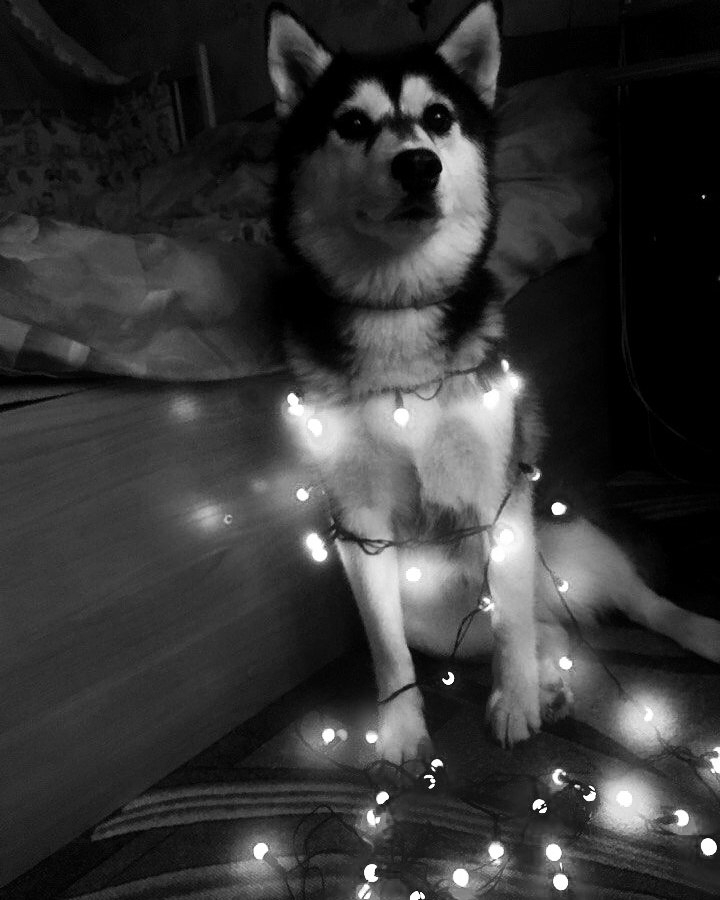 Майя