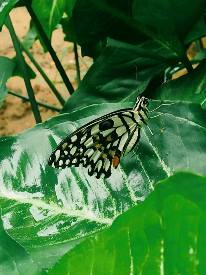 〰➰〰