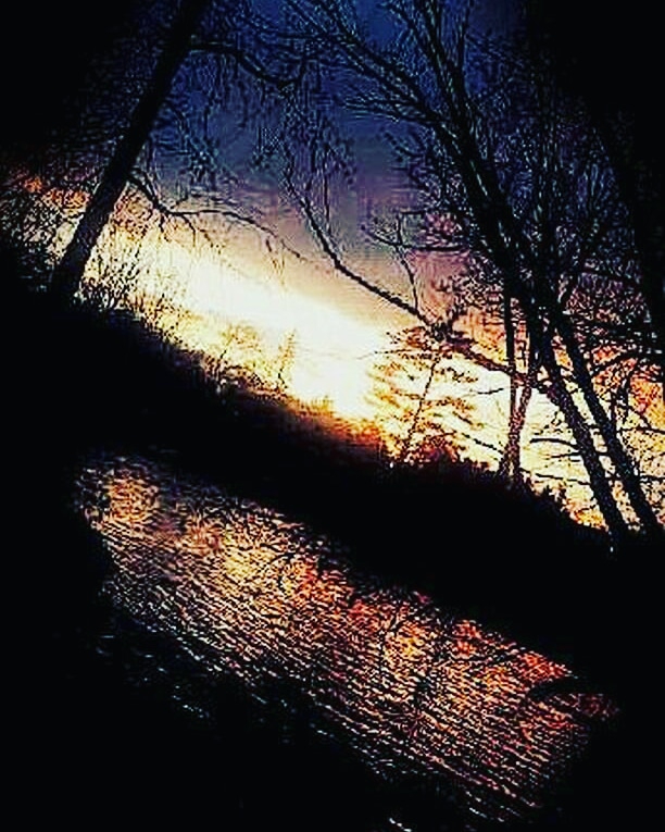 Sun rise