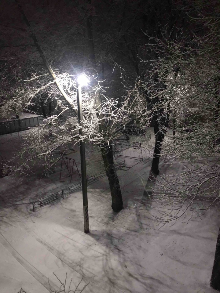 Winter