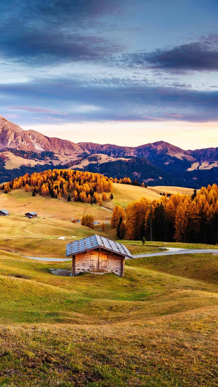 field in Germany
