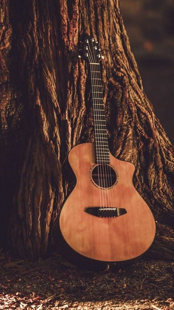 guitar
