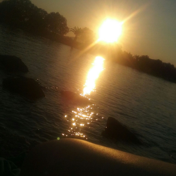 Sunlight 