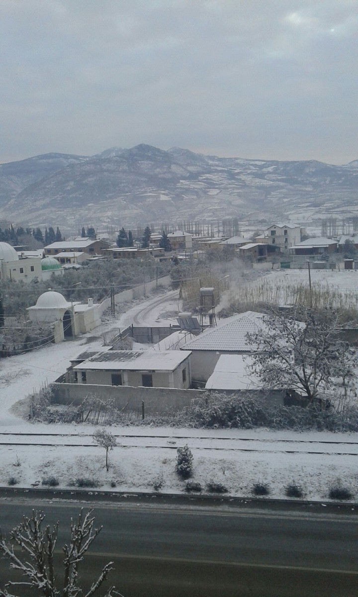 Winter day