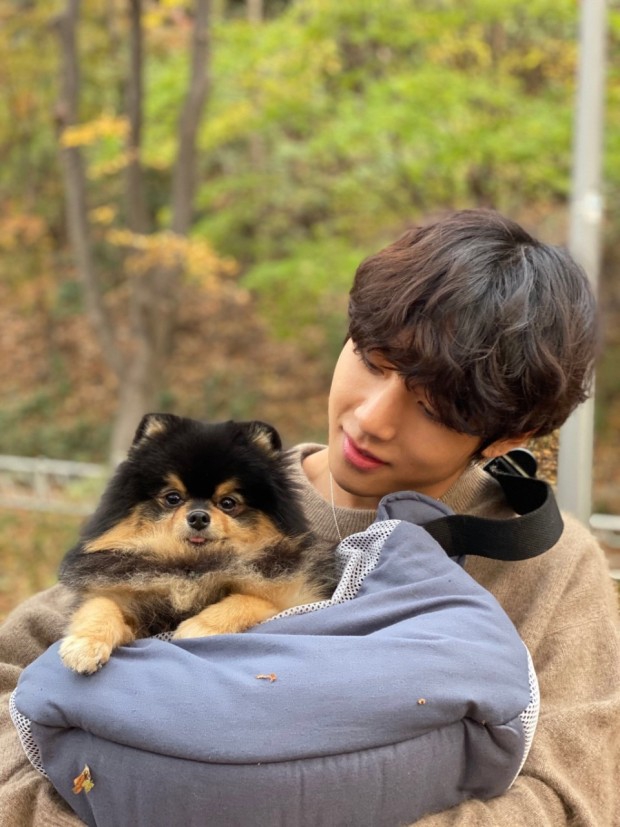 탄이?