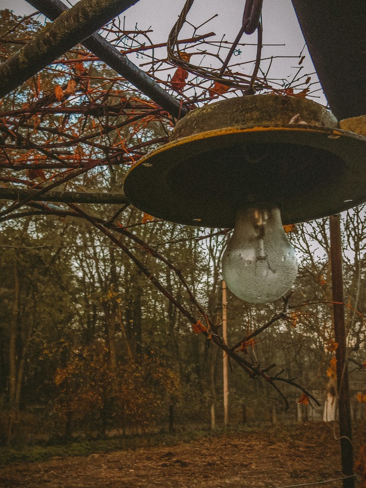 ✨