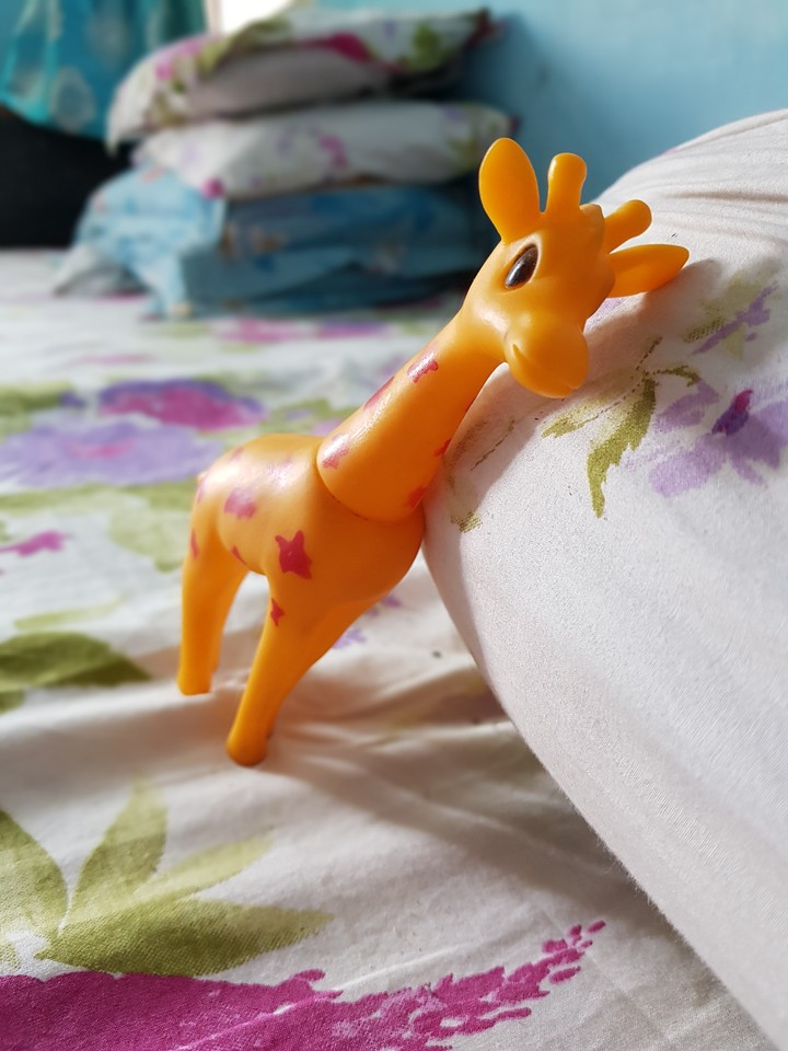 Childhood affair.