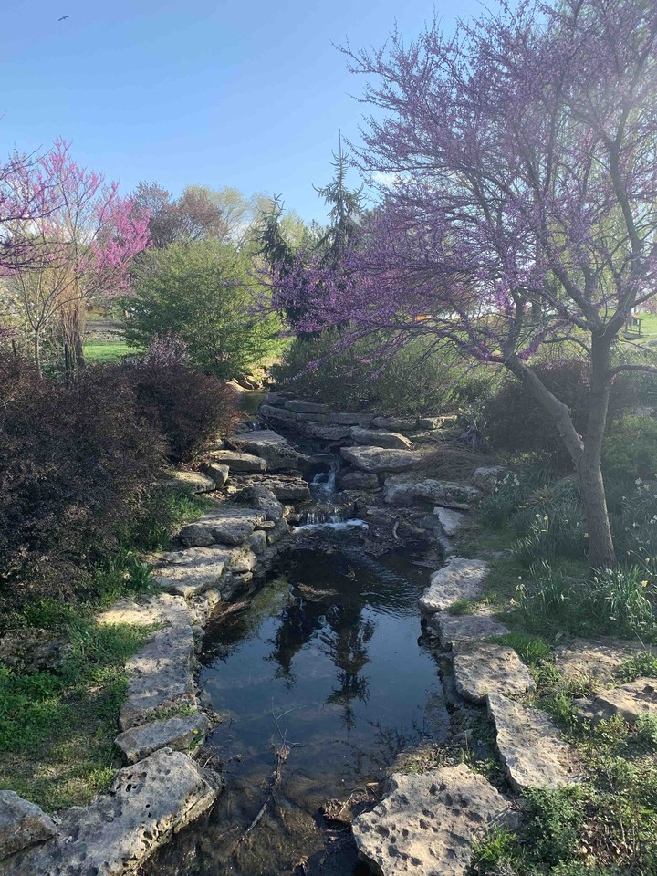 Spring Day