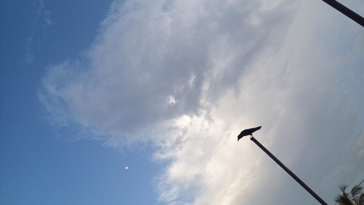 Blue sky